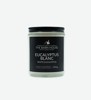 Chandelle Eucalyptus Blanc