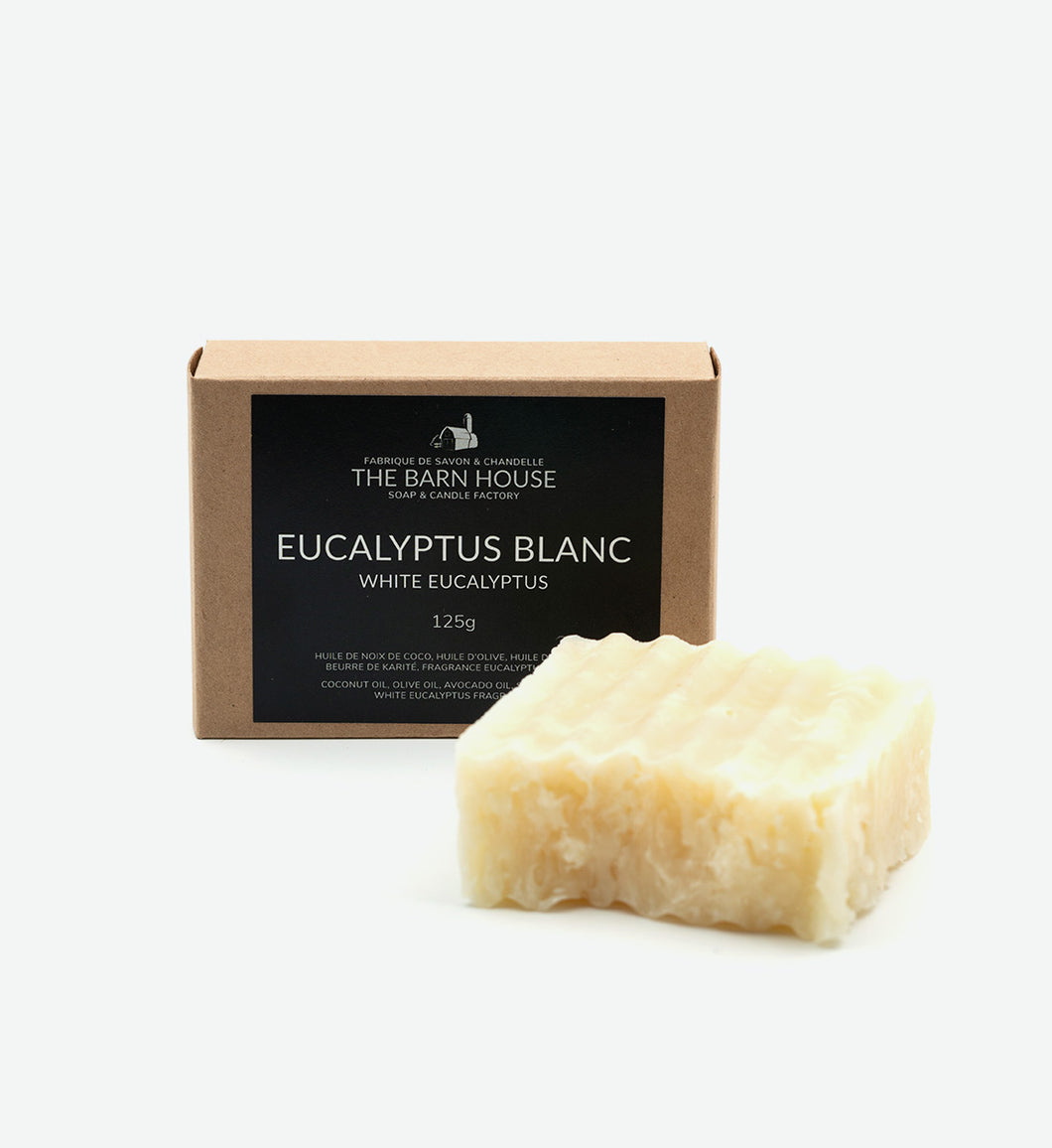 Savon Eucalyptus Blanc